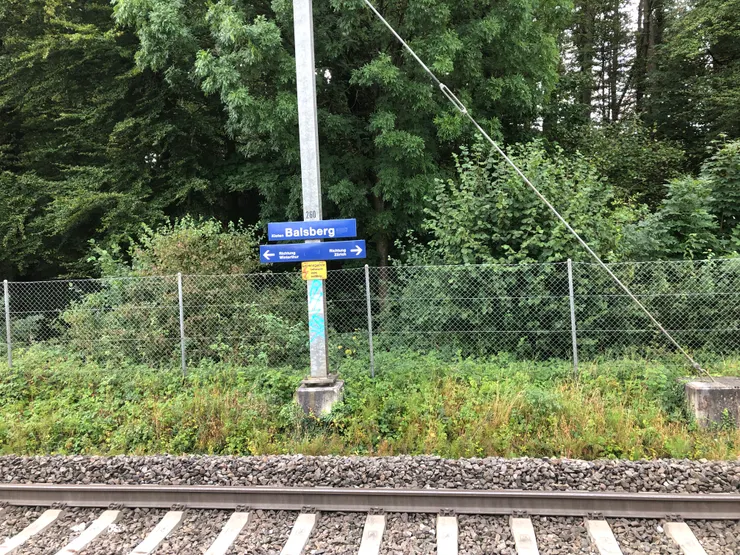 位於機場附近Hilton飯店可輕鬆前往蘇黎世中心