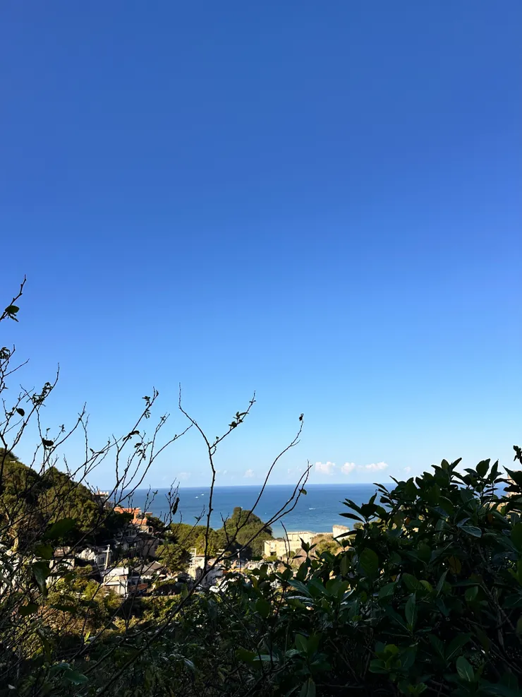 謝謝秀蘋帶我去看山、看海！