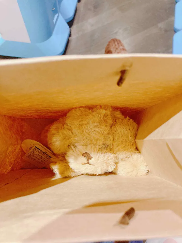 一次去逛街遇見的命運之狗 >////<