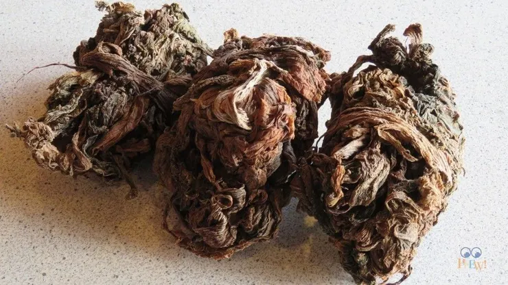 市場會看到的梅乾菜，像一包乾掉的菜一樣，上面還有粗鹽。(網路圖片)