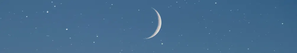 Mr. moon 月亮先生的沙龍