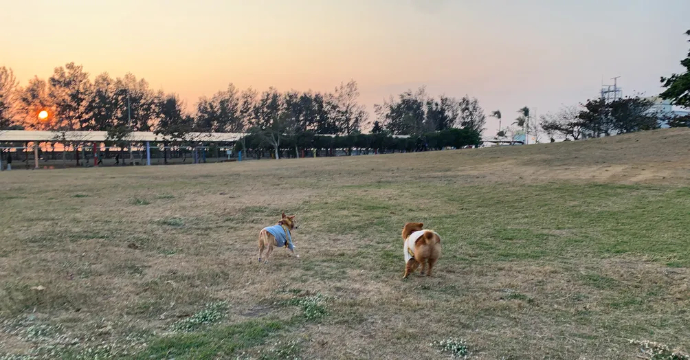 爛泥小熊俱樂部