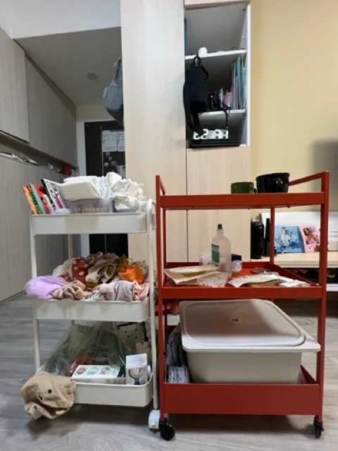 小白推車vs宜家推車