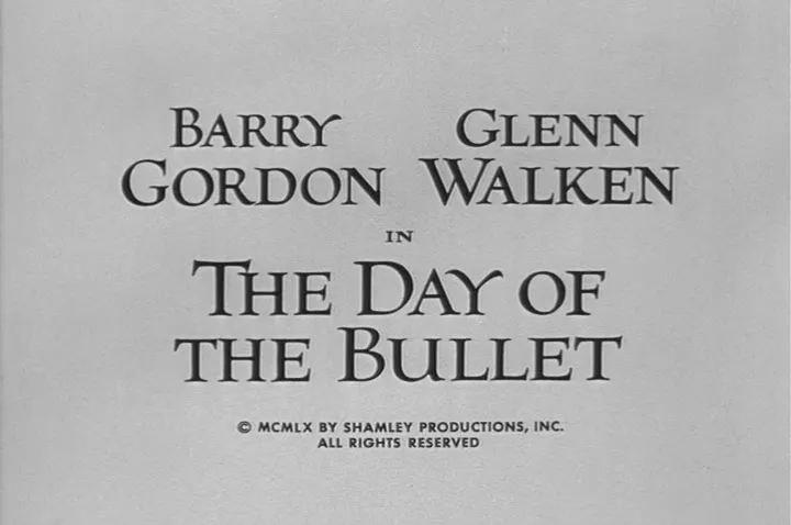 第5季第20集“The Day of the Bullet”