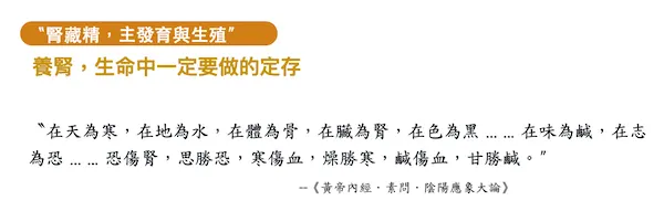 〝腎藏精，主發育與生殖〞