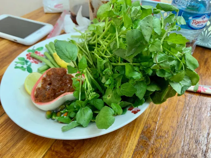 他們攝取蔬菜的方式｜2019