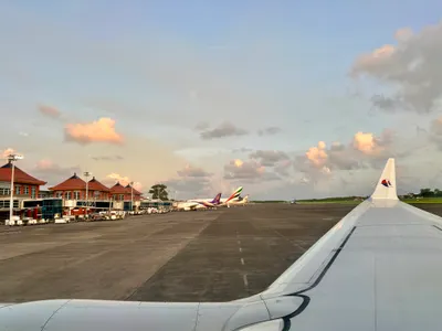 我在峇里島變成超熱帶雪橇犬了