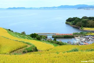 226D次 @江ノ串梯田