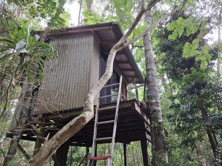 小木屋外觀，要爬梯子上下