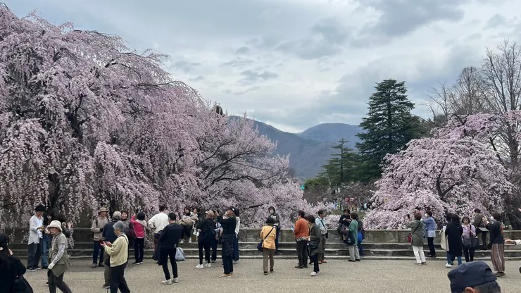 整個城隨便拍都漂亮。