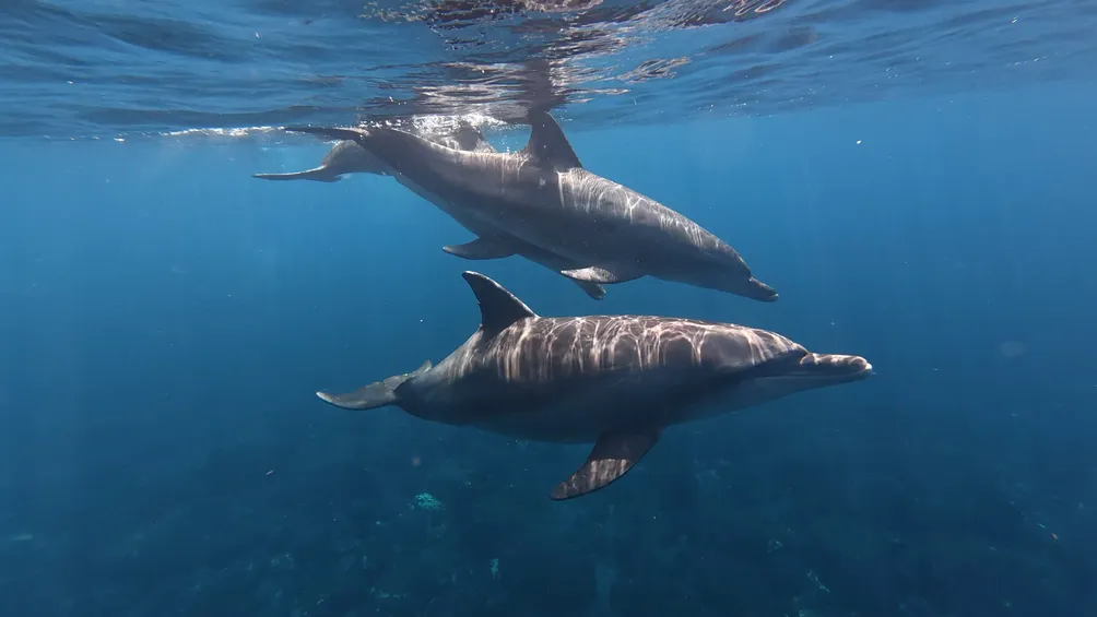 Jennifer's | 旅行日誌