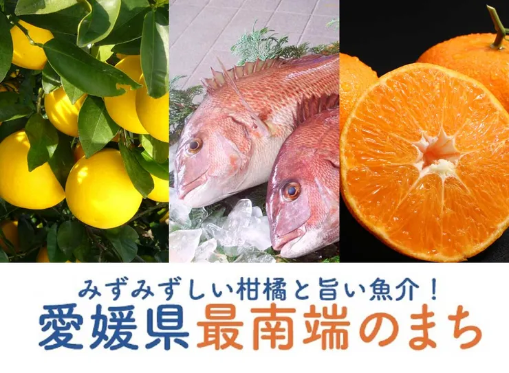 圖片來源：愛南町官網