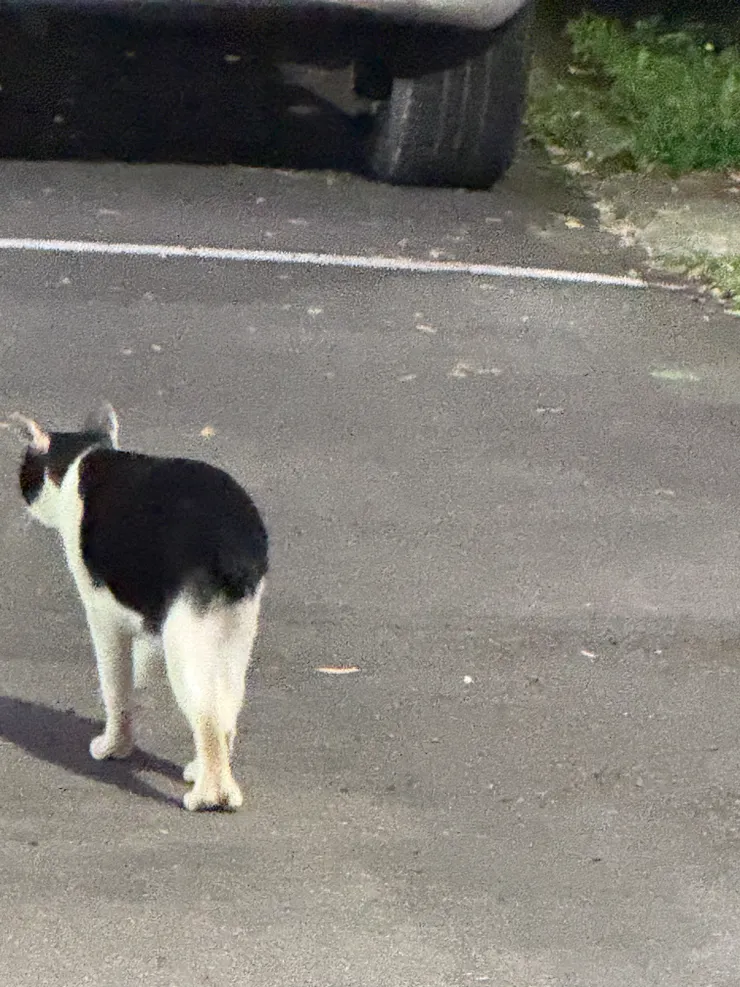 2026/02/23 我拍的