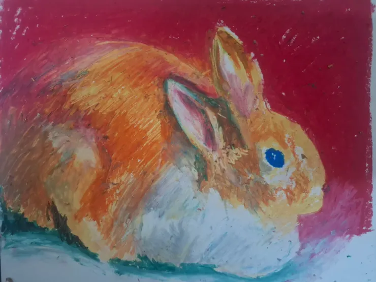 兔子 油蠟筆 插畫素描