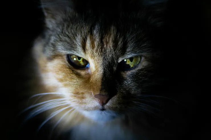 Photo by Tatyana Eremina on Unsplash