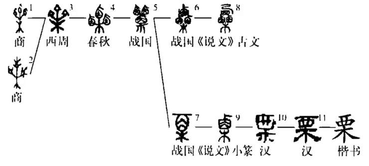 「栗」字的發展
