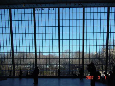 往大片落地窗望去，看到很藍的天及冬天的樹。