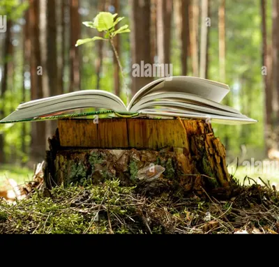 奈米成長的沙龍