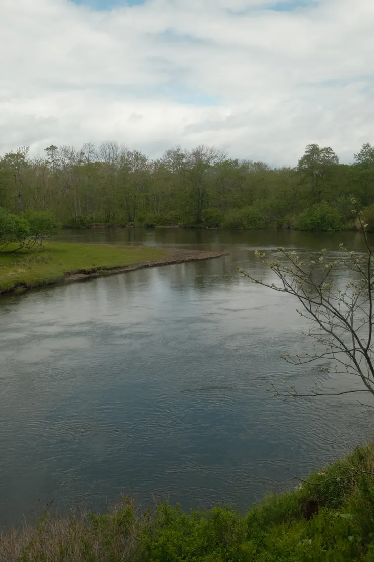 列車上看見的濕原