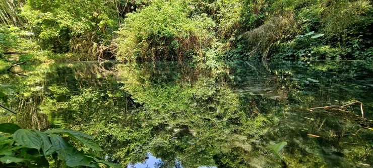 【遙想先民浸穀生芽備來春播種，於今小池幽謐青碧映綠如仙境。根據解說牌，早期當地農民於寒冬將穀物浸泡冷泉中，讓其發芽以利來春耕種。】