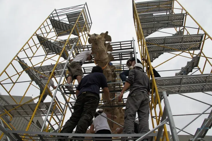 能近距離接觸恐龍化石是很專業的工程
