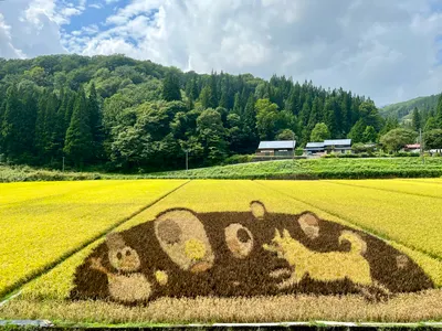 紀·錄｜2023.09.18 秋田內陸線