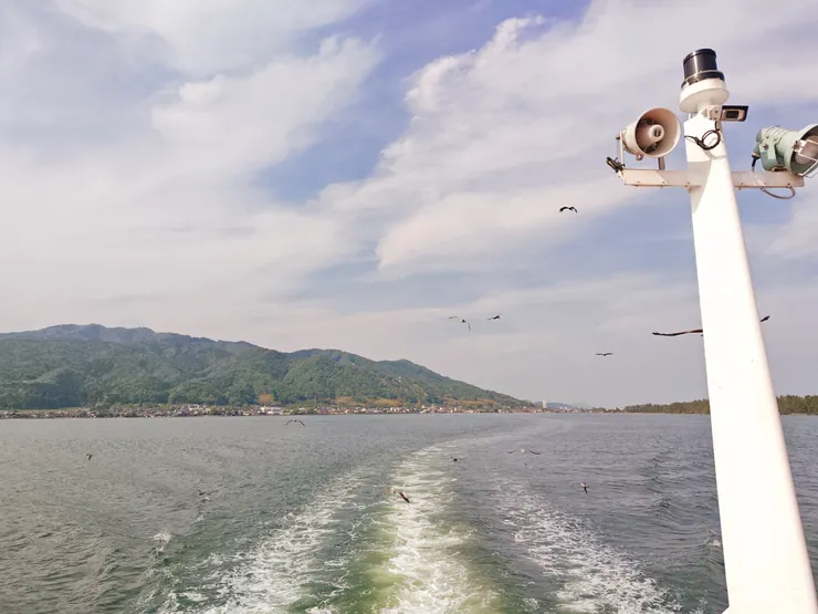 隨船伴飛的海鷗飛鷹