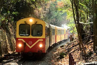 剛剛才在20號橋上看到的火車,又再度見面了!