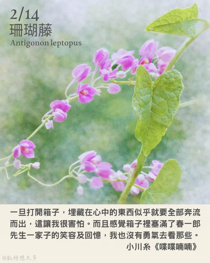 《一日一花・一句》｜2 月 14日｜珊瑚藤×小川糸《喋喋喃喃》