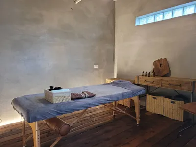 代謝力重建案例