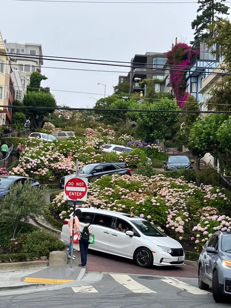 我是蠻期待開上去的（九曲花街）