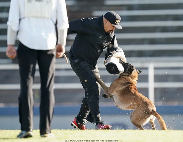 如何訓練你的狗-湯頭拔