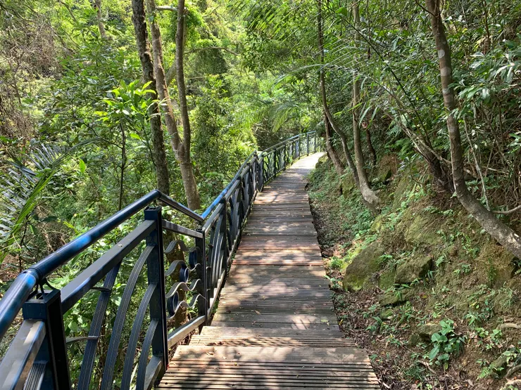 心心：謝謝舒兒姐的小故事！