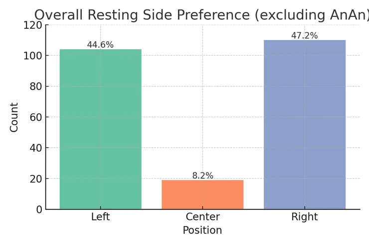 資料來源:貓咪躺躺計畫
