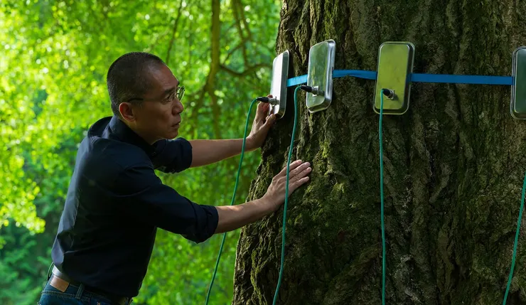 《你是不會當樹嗎》電影劇照／劇照提供：海鵬影業