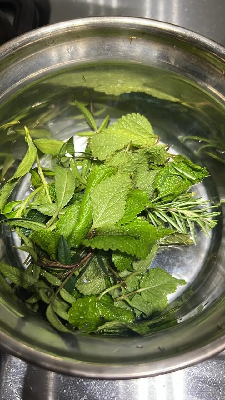 將香草洗淨後瀝乾水分