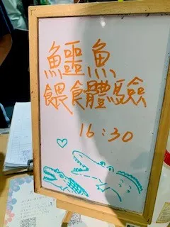 還有鱷魚餵食體驗