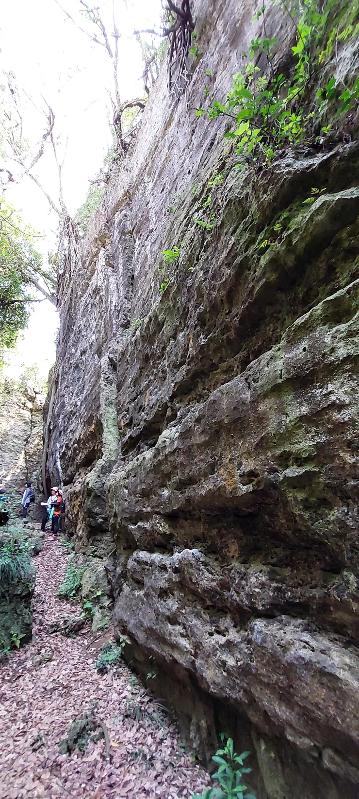 一線天山崖峭壁,可作攀岩場