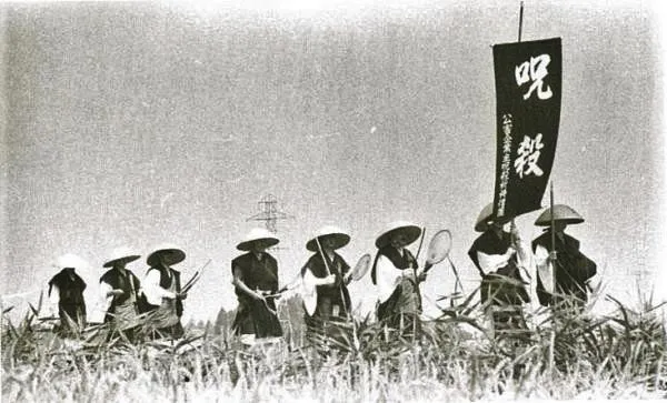 圖片出自粉專「稻荷堂」