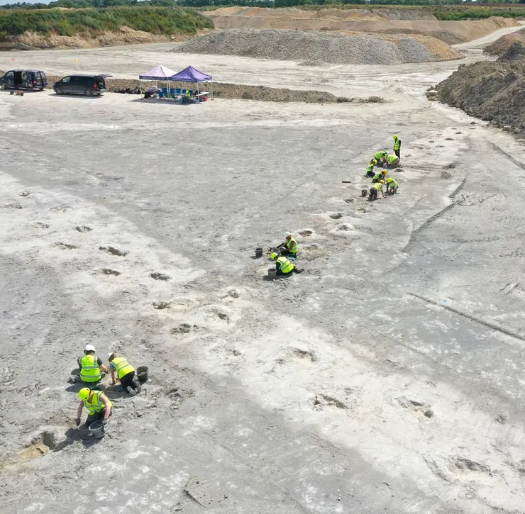 圖片來源：University of Birmingham, via Associated Press