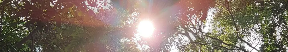 Miracle｜奇蹟放送所的沙龍