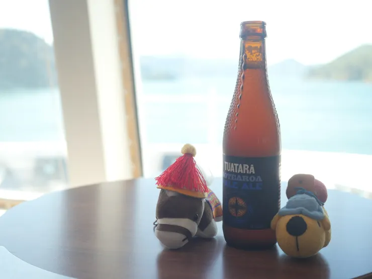 終於順利上船了，揮別南島，hello 北島!