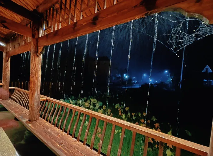 雨中的蜘蛛網，在風中搖曳著殘破的經緯，任那些自以為是的真相，從裂隙中一一墜落。