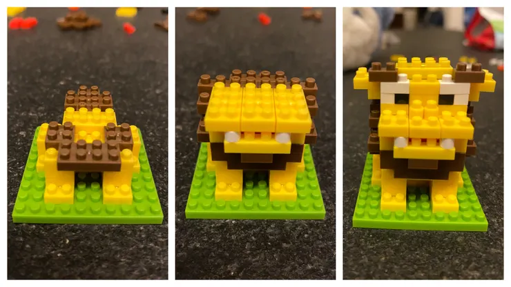 棕毛的閉口母獅子