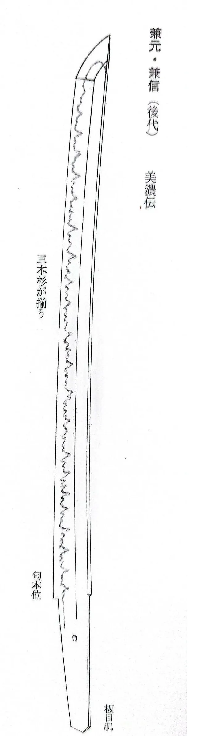 新刀期兼信與兼元的三本杉風格說明