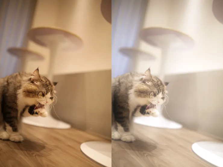 硬轉成日系唯美風，果然很不搭呢 (皺眉)