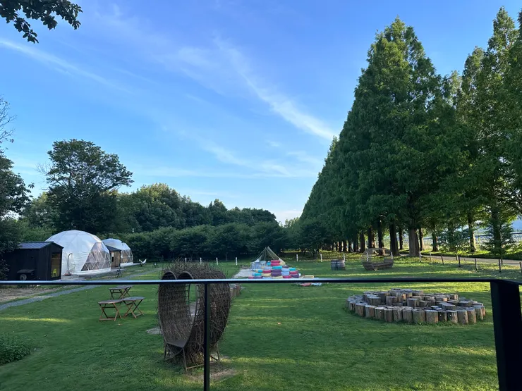 水杉大道旁的露營區+咖啡店,很chill。