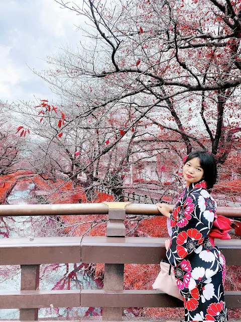 穿著和服走在川越冰川神社新河岸川紅橋