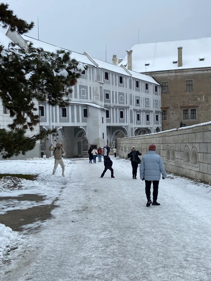 一旁的旅客有的拍照，有的玩起雪球來~
