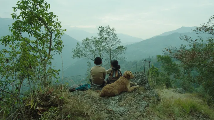 《那山那狗那女孩》電影劇照／金馬影展